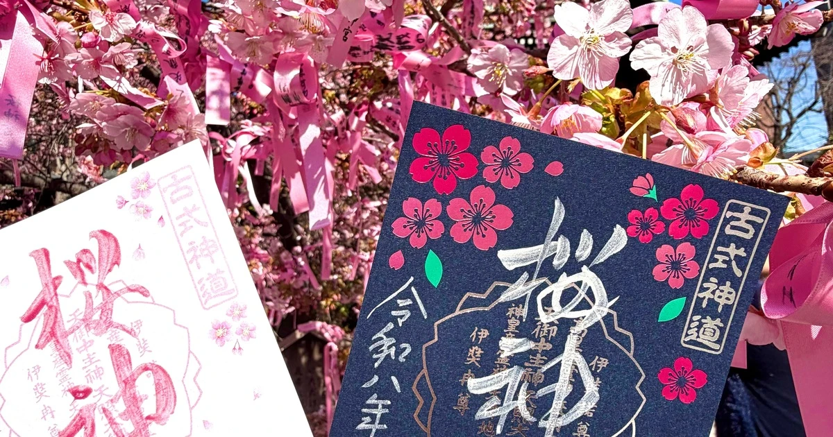 世田谷の河津桜】春がきた♪ピンクがいっぱいの桜神宮とバームクーヘン