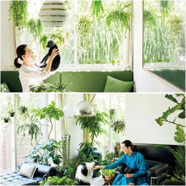 おしゃれなインテリアグリーン】桐島かれんさんのセンスのいい