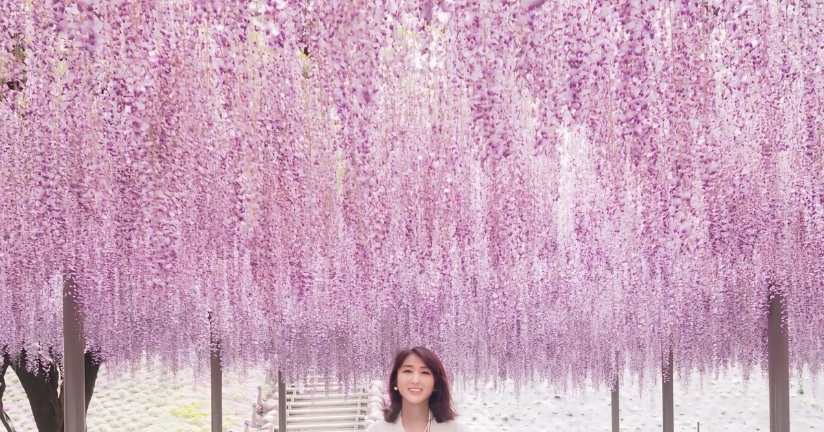 愛知・津島】紫色と白の藤の花と、褒められフレアスカート♡｜Web