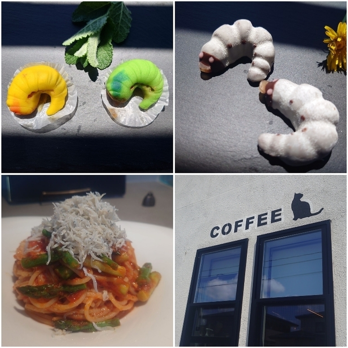 ギョッ！とするけど実はチョコ。人気の虫スイーツを買って、イタリアンでランチ。
