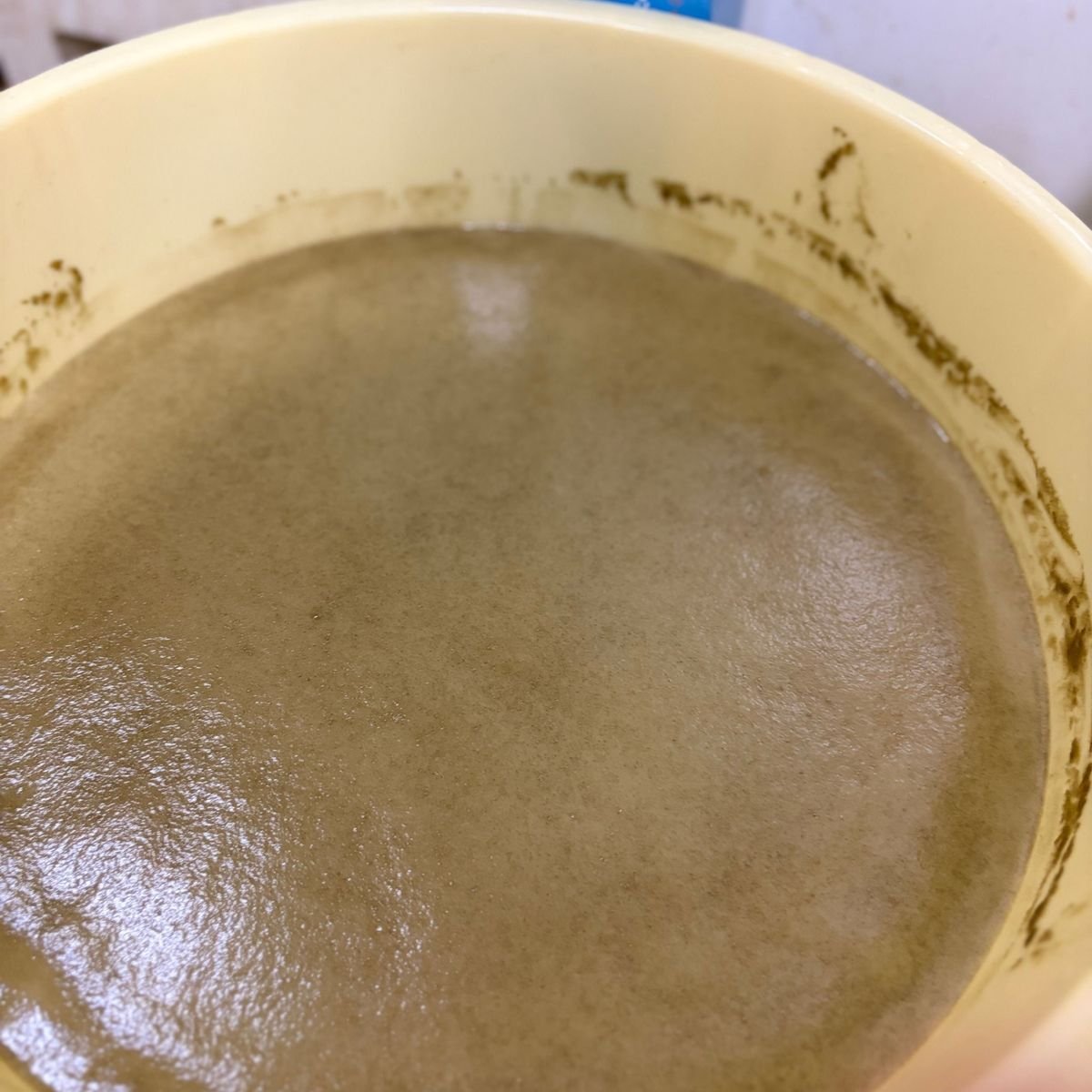 手作り酵素の世界　〜梅、あんずの酵素〜