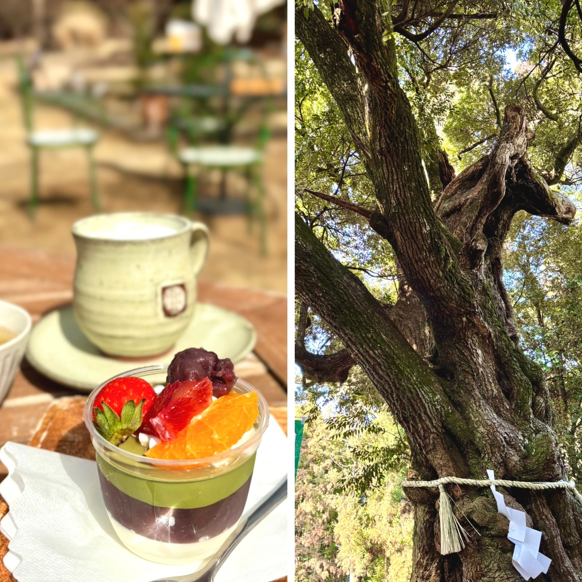 茨城県へお出かけ。自然に囲まれた納屋カフェとパワースポット勝馬神社へ〜♪