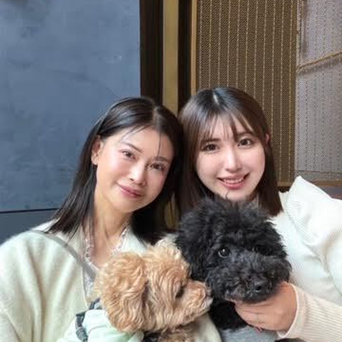 わんこと娘とお出かけ。キンプトン東京でホテルランチ