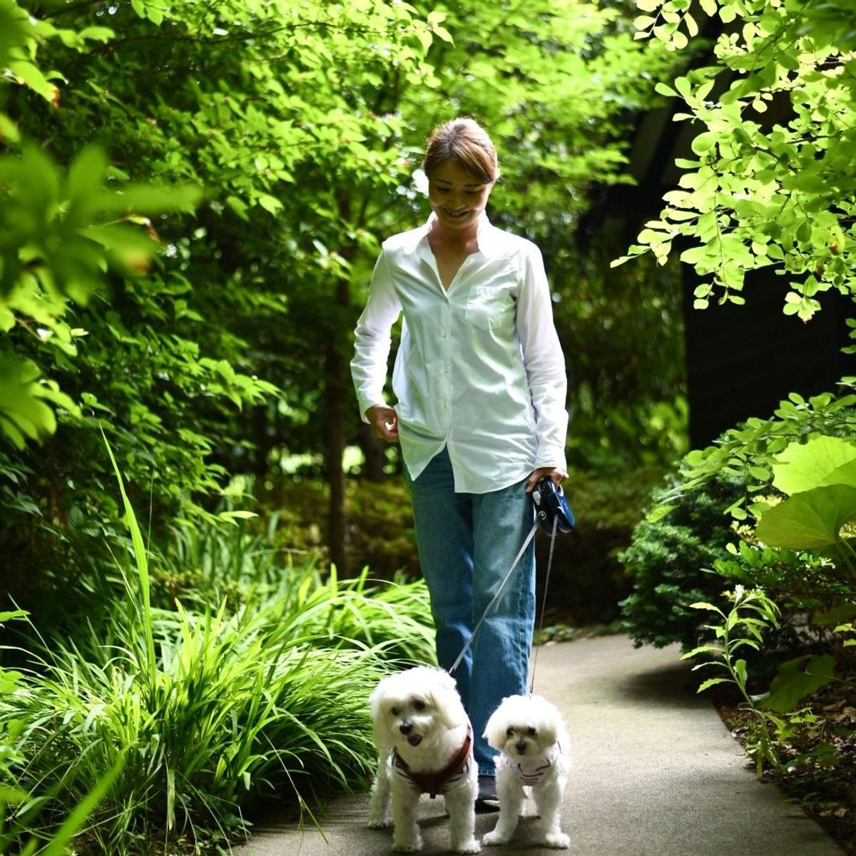 わが家の愛犬