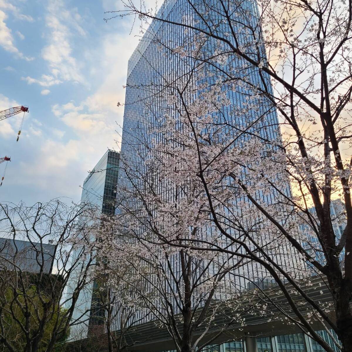 東京八重洲、秘密のカフェ
