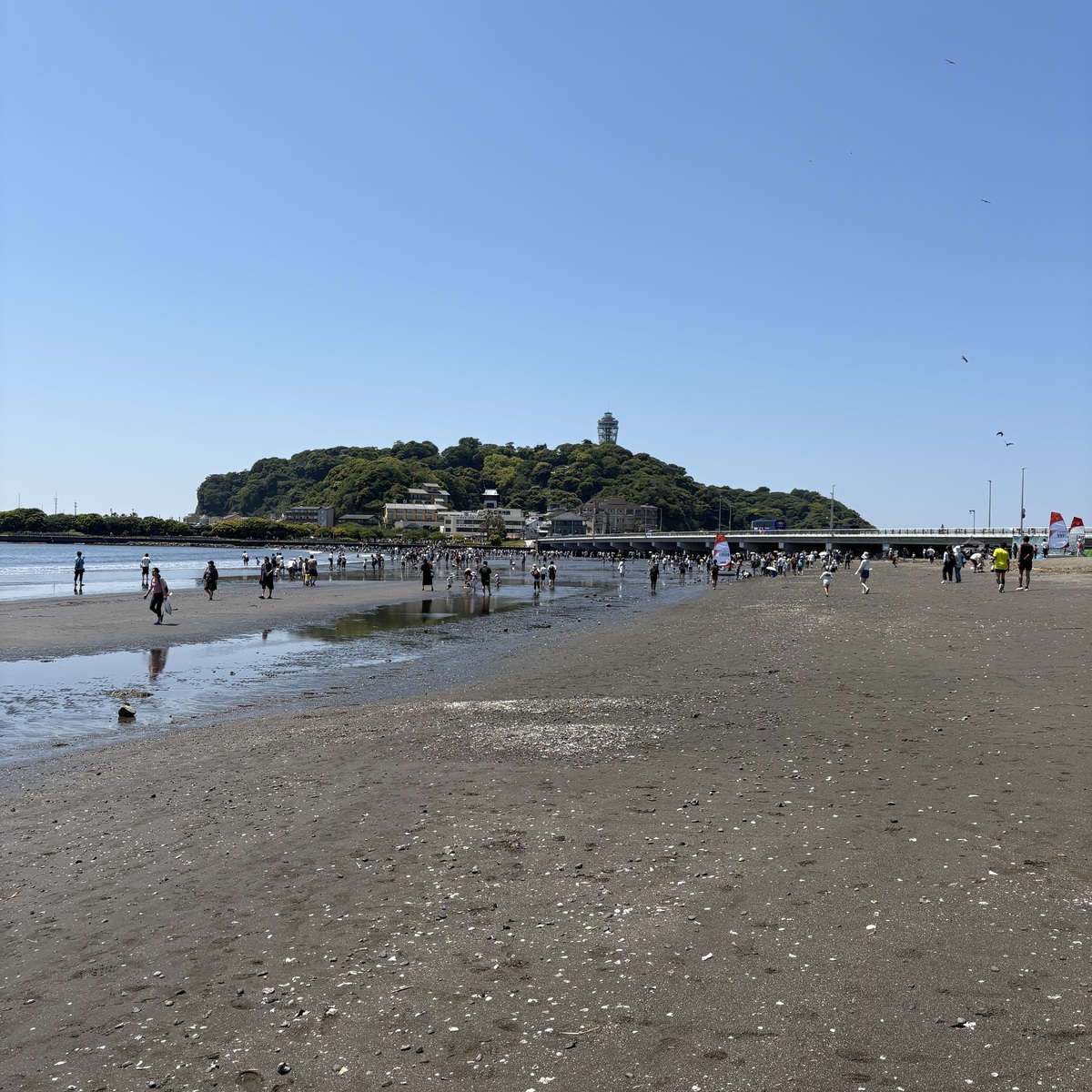 日本のモン・サン=ミシェルを体験しに来ませんか？　〜江の島トンボロ〜