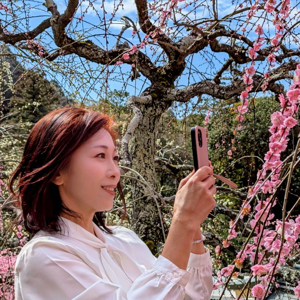 幸せ色の春！大縣神社「梅まつり」