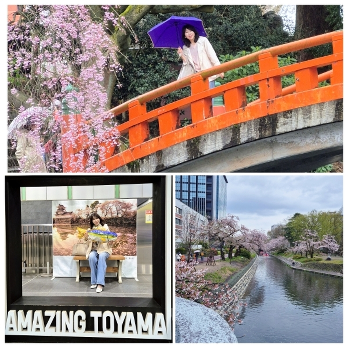 【富山・春旅】Vol.3雨の中「国宝・瑞龍寺」と「富山城址公園」日本さくら名所100選の「松川公園」を散策♪