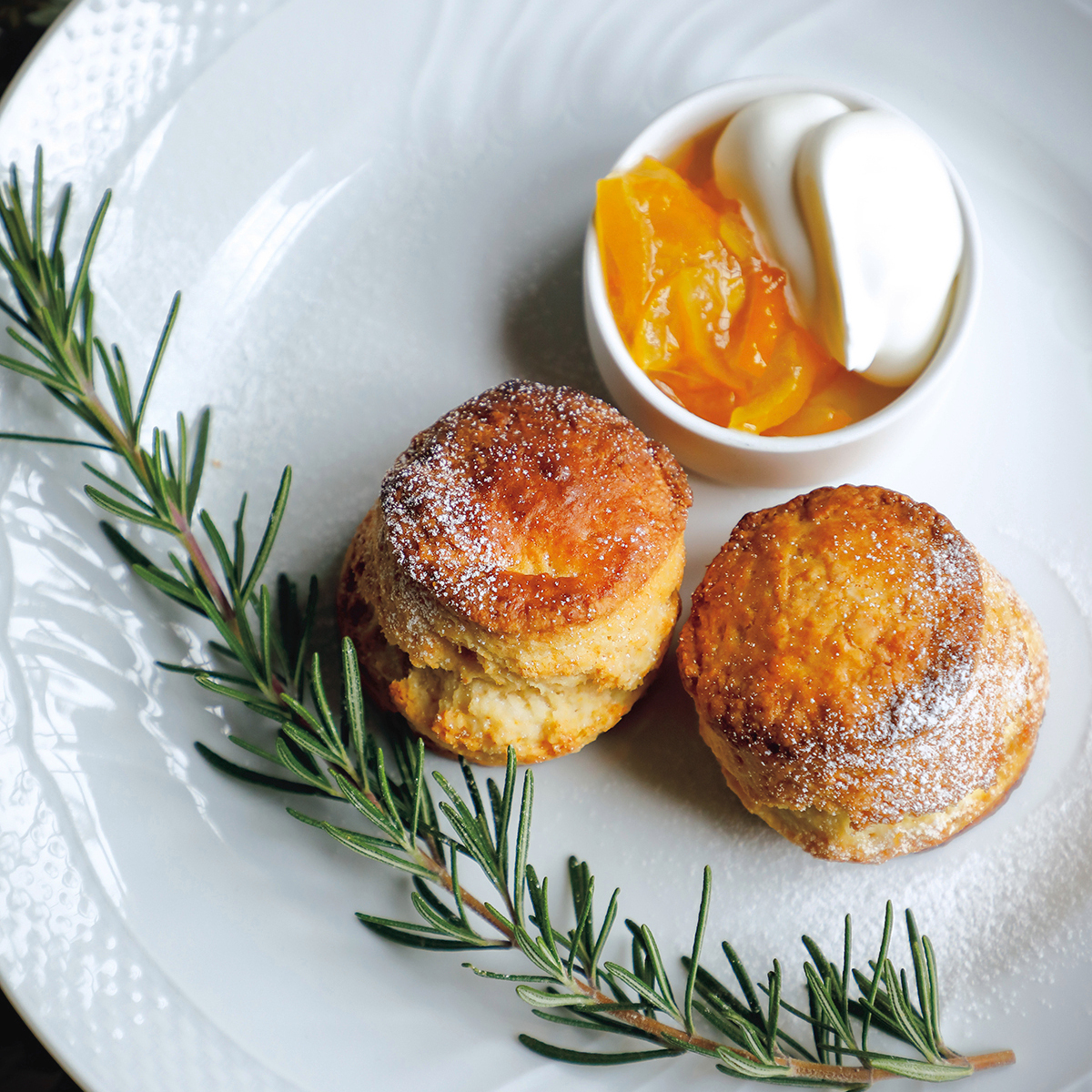 まるでおとぎの国。奈良旅行でひと足のばして「生駒」の森へ