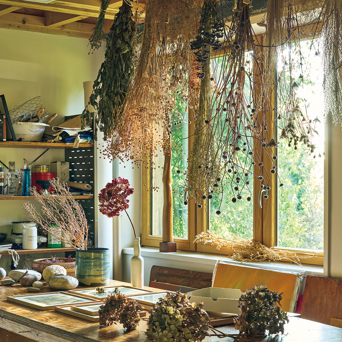 【ソフィー・ブイエ＝デュマの美しきボタニカル・ライフ】《後編》ソフィーが語る植物への愛情