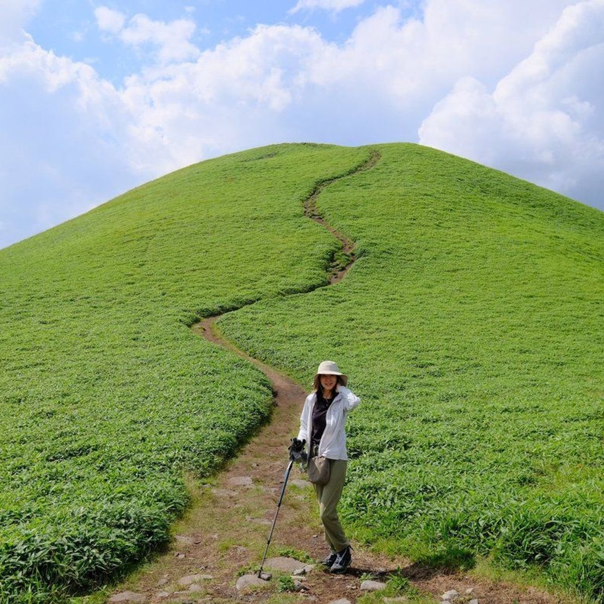 【トレッキング】空へと続く一本道〜長野県・三峰山〜