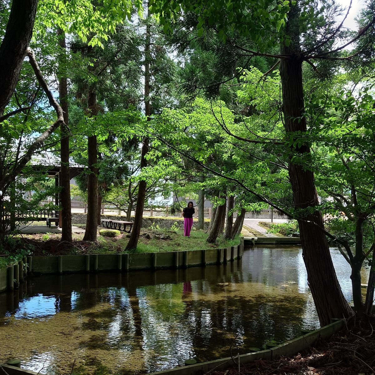 【日本の名水百選・前編】秋田県美郷町・六郷湧水群。誰もが郷里を感じるような緑と水の自然豊かな田舎景色。