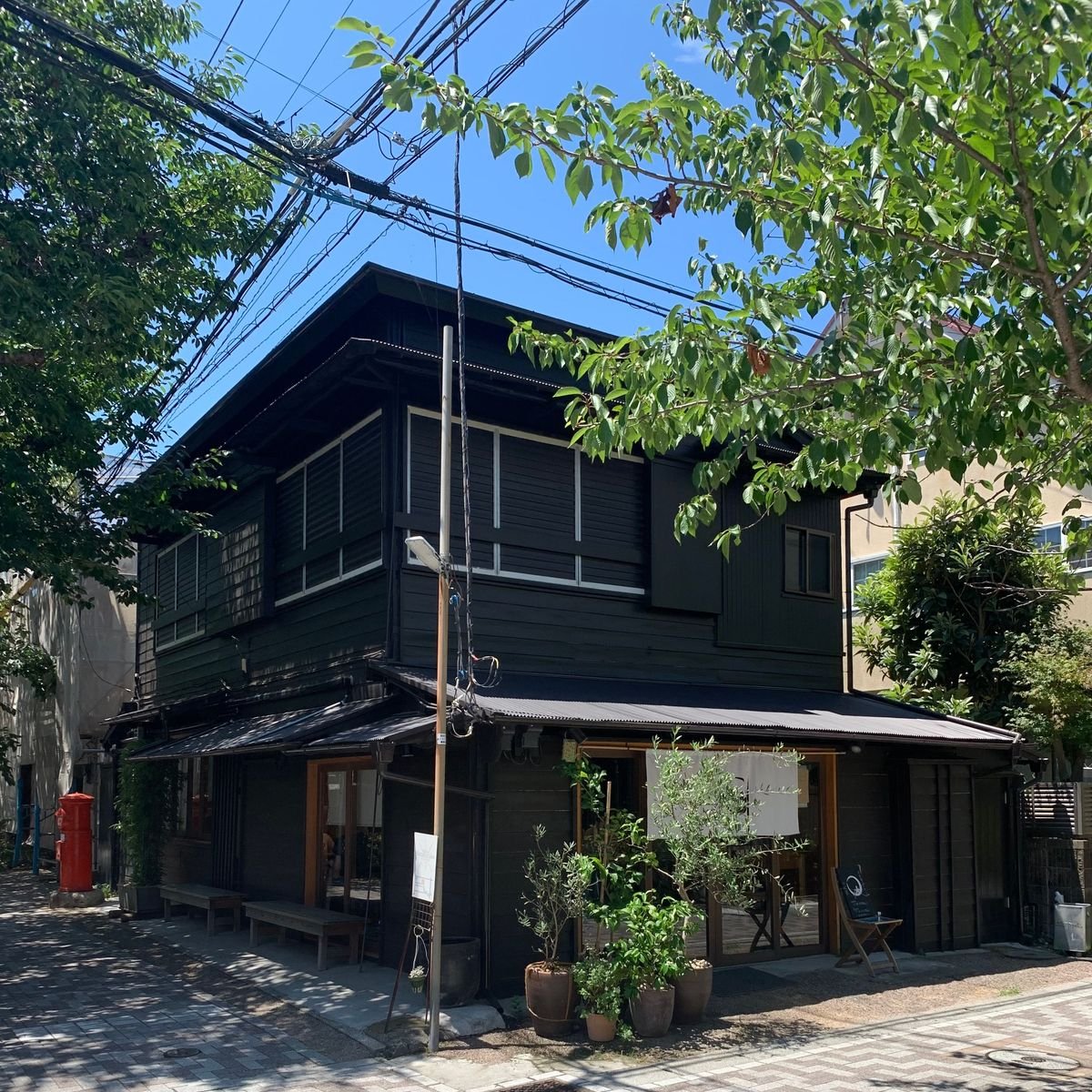 【鎌倉ランチ・保存版】レトロ空間で味わうイタリアン。KADOYAのパエリアが最高すぎる！