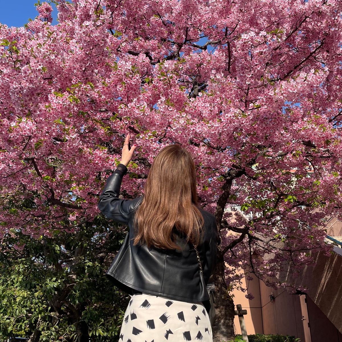 桜咲く春に楽しむ「ミート×ストロベリー ビュッフェ」