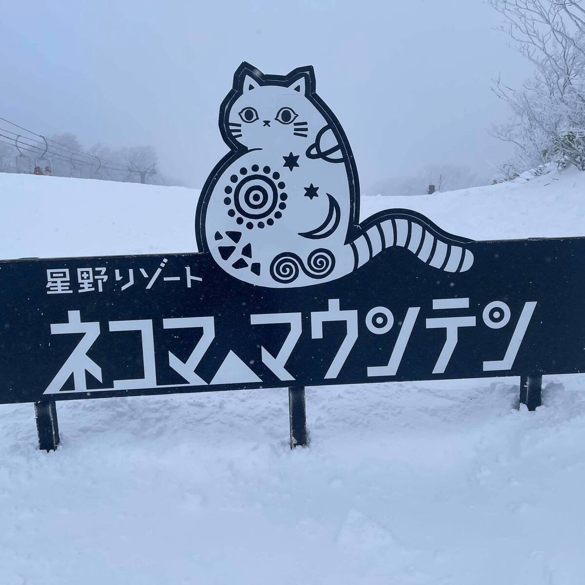 【2027】スノーボード再開