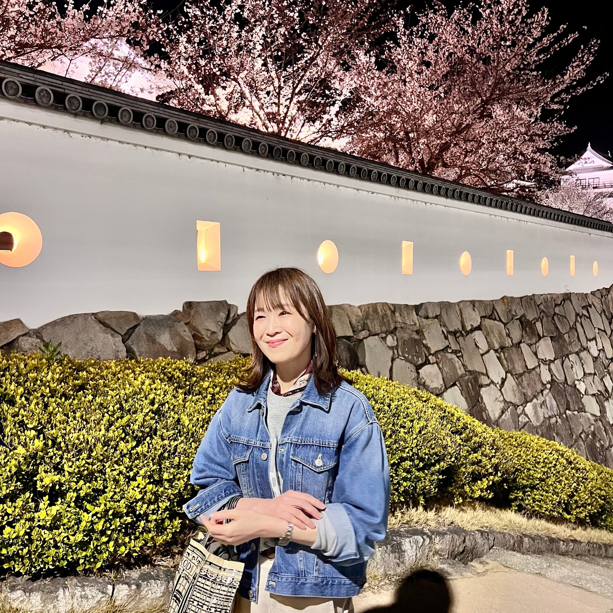 福山城の夜桜と絶品尾道ラーメン