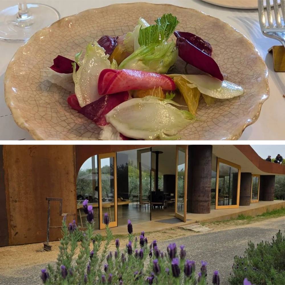 【広島・香川・徳島 旅先グルメ】街中グルメも、海辺やオリーブ園のカフェも！大人の心を満たすスポット6選