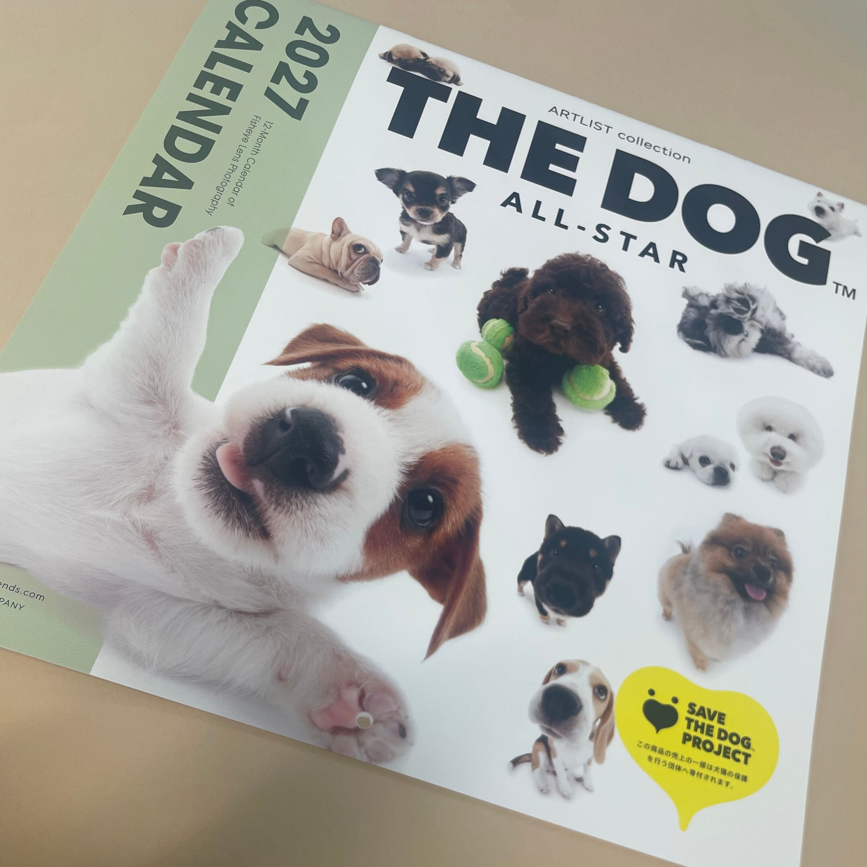 毎月めくる度、思わず笑顔に。犬好きにも猫好きにもたまらないカレンダー【エクラ編集部員の偏愛名品図鑑】