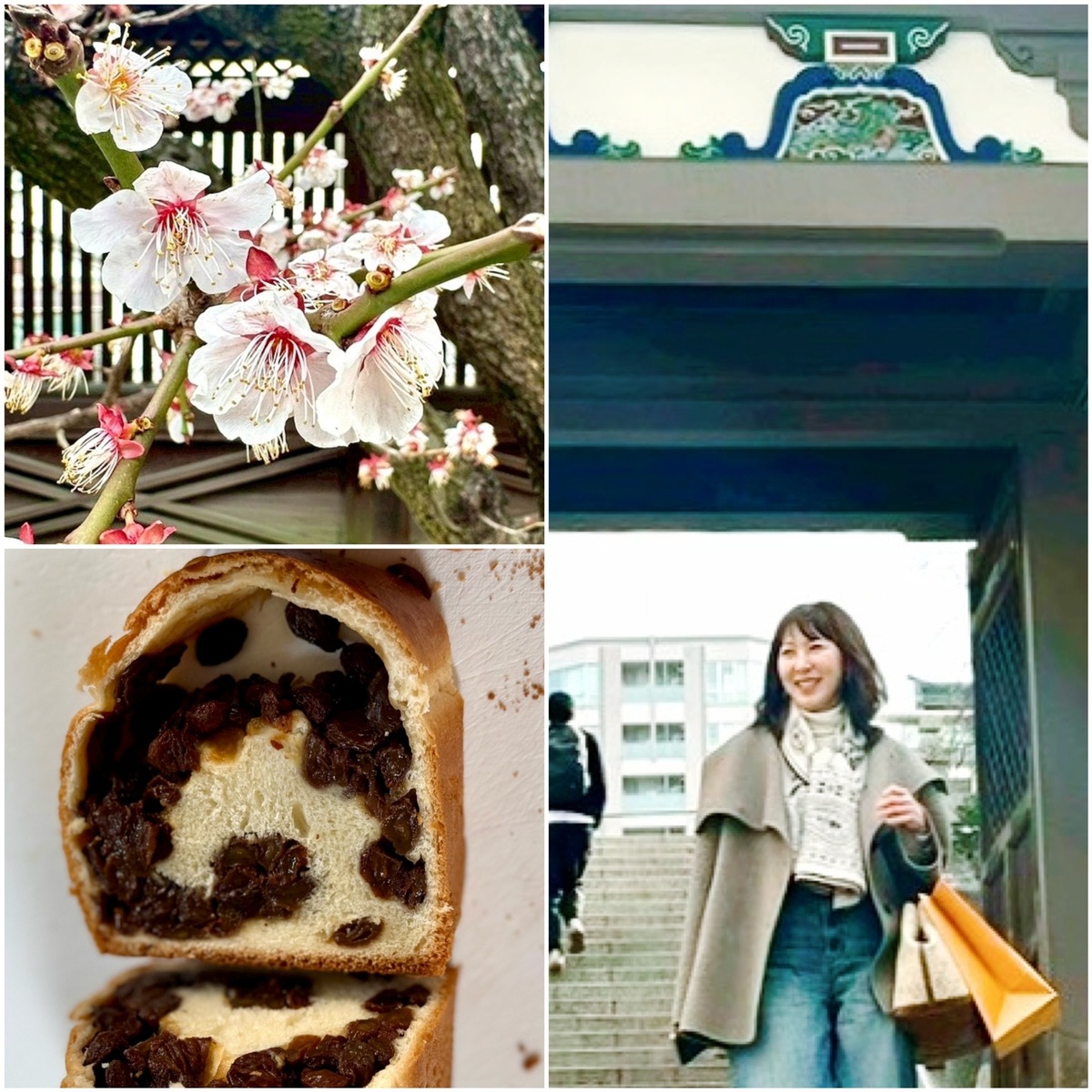 レーズンがあふれ出る！下町のぶどうパン専門店と湯島天満宮