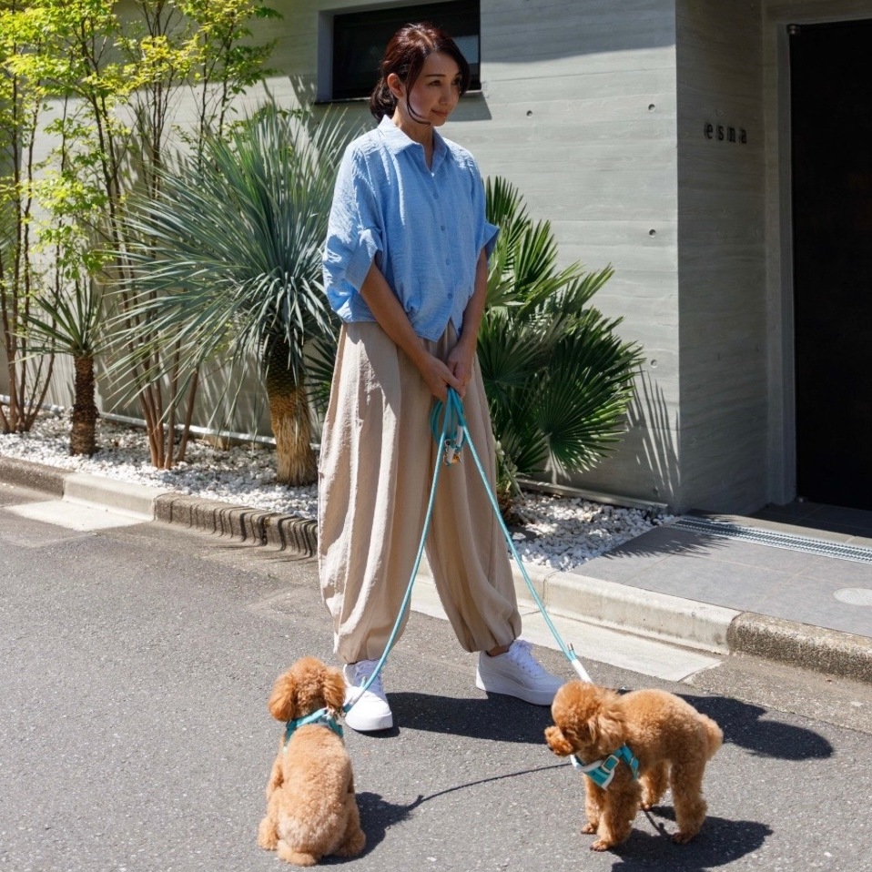 暖かな春の日差しの中で愛犬たちと歩く穏やかな時間を息子に撮影してもらいました