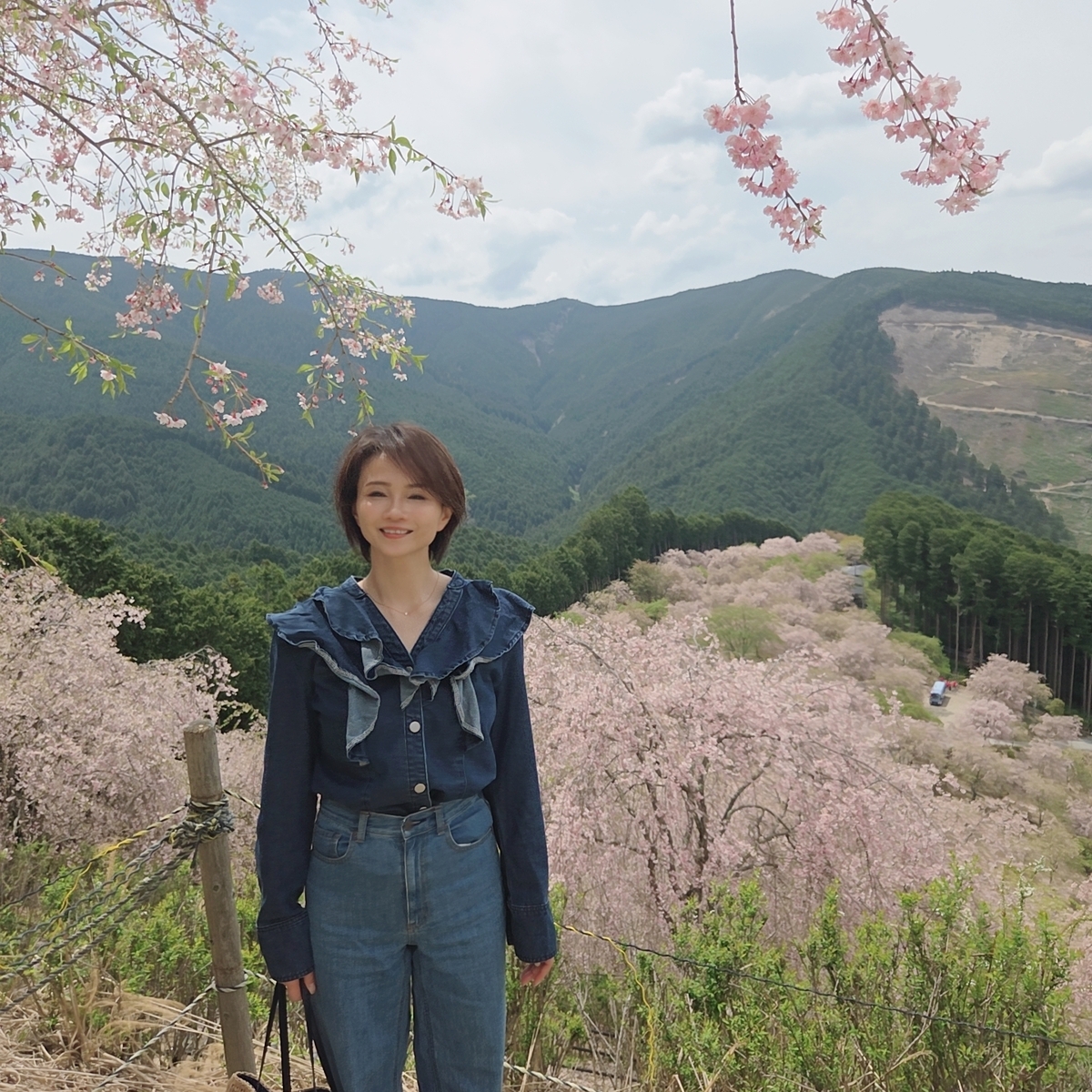 千本のしだれ桜にギリギリ間に合った！