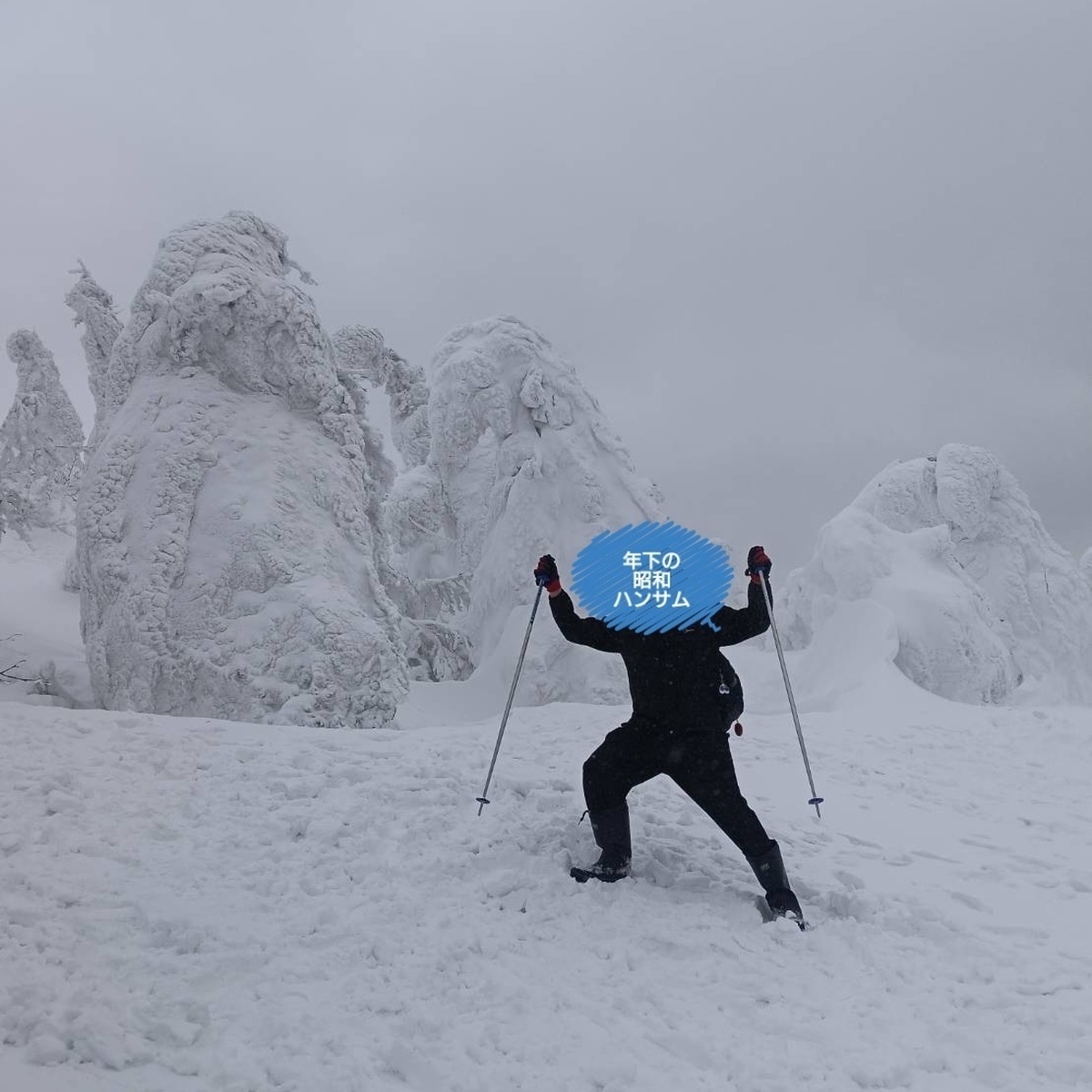 自然がつくる真冬の芸術・樹氷❄️後編／圧巻のスノーモンスターを観る！動画🐜