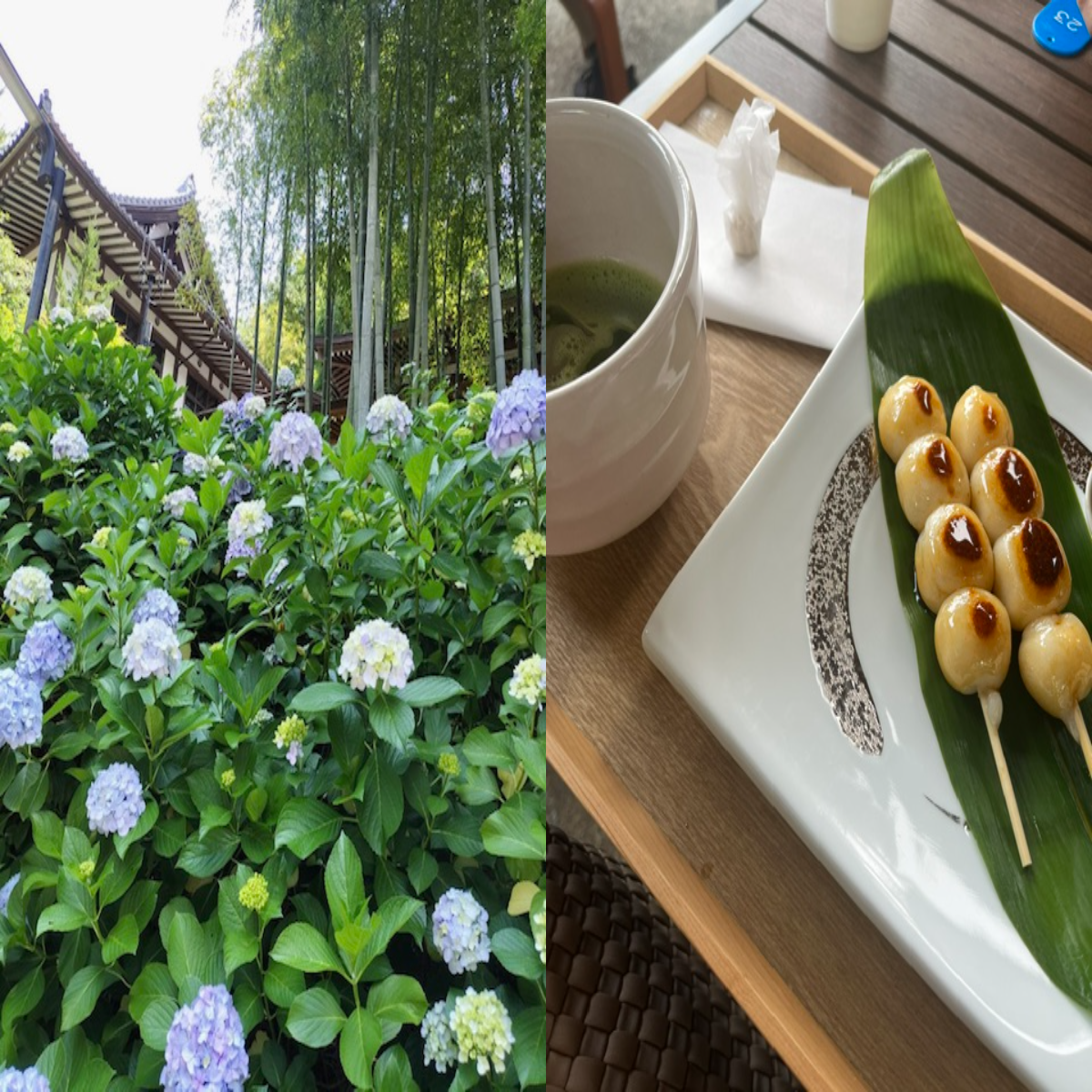 北鎌倉あじさいと眺めの良いお寺カフェ
