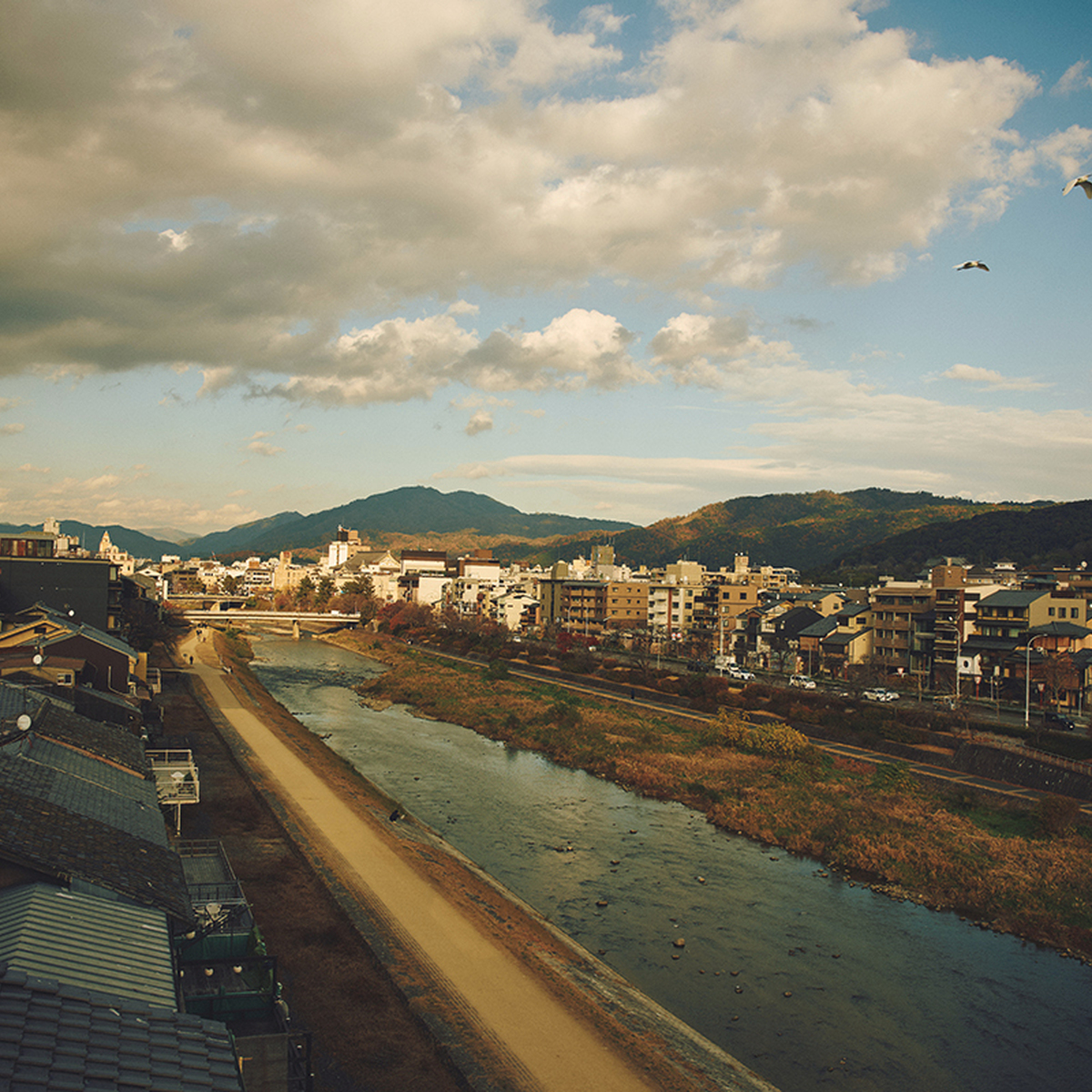 京都の街並みがとにかく好き！中村壱太郎さんの「京のお気に入り」スポット4選