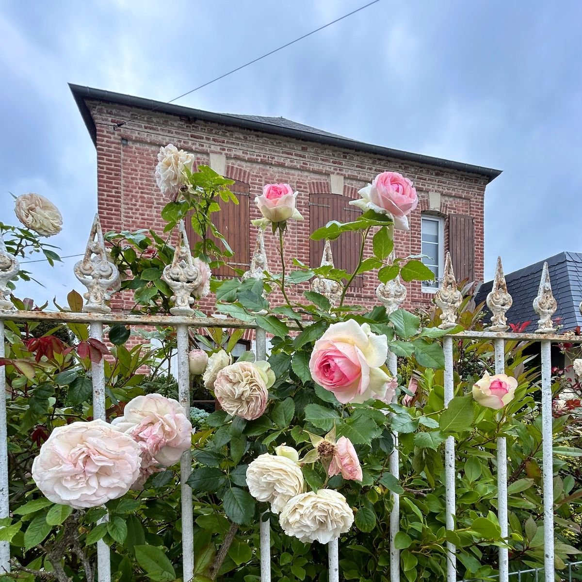 【フランスの美しい村】花咲くブブロン・オン・オージュへ｜ノルマンディーのシードル街道で見つけた、まるで絵本のような絶景の村　（Le village de Beuvron-en-Auge）