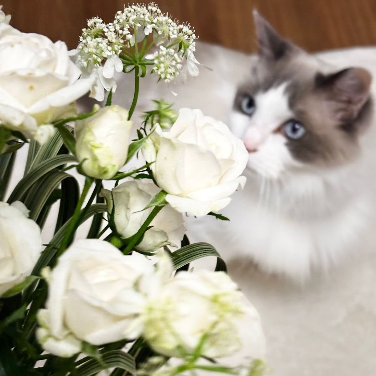 癒しの時間🌹お花のワークショップへ