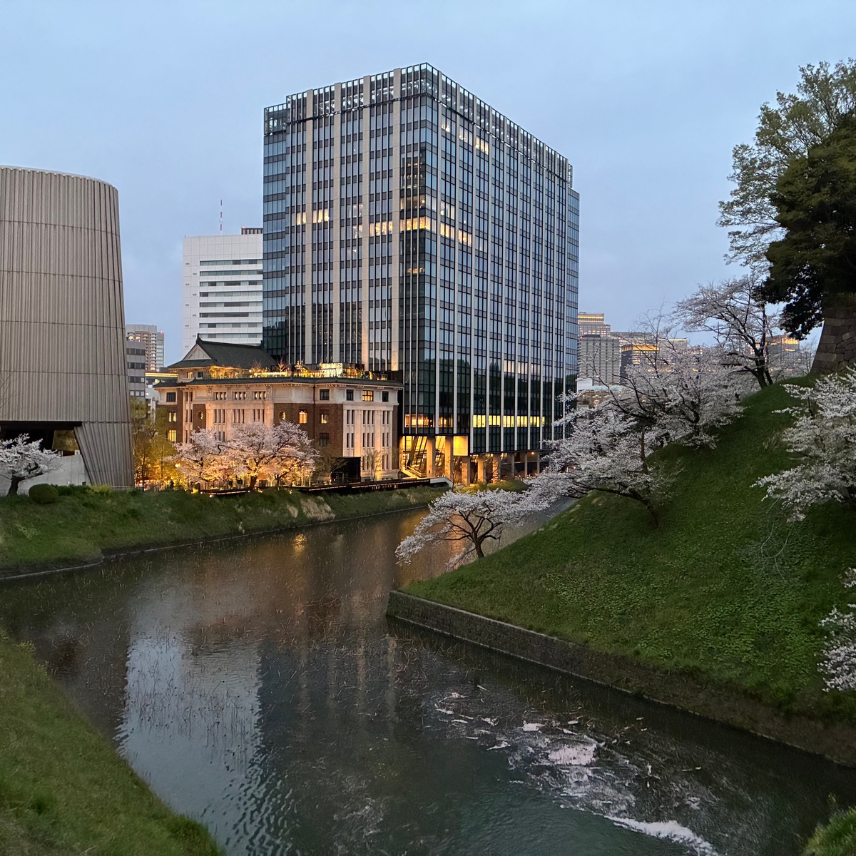 【九段下】千鳥ヶ淵の桜