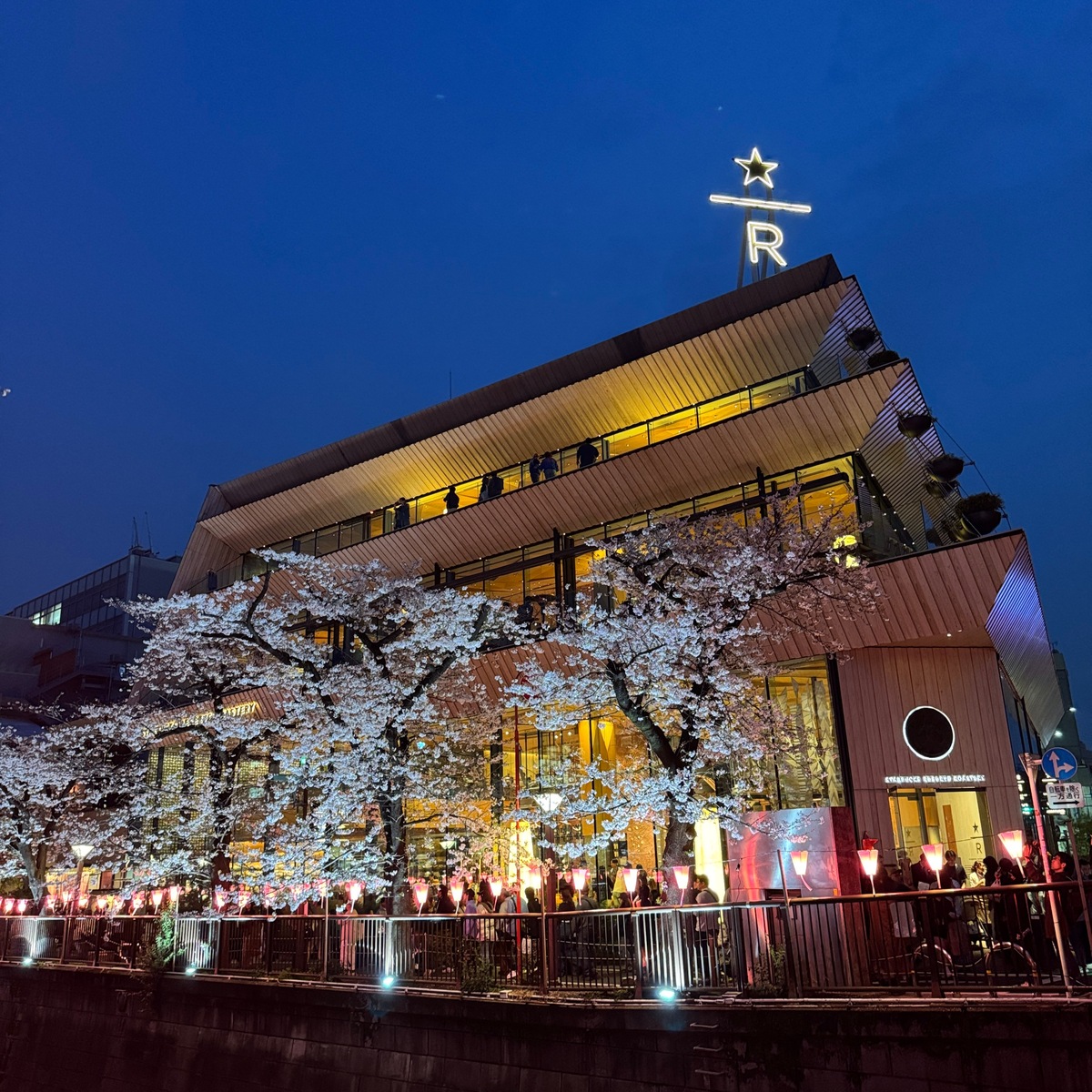【目黒川の桜】やっぱり行きたくなる、春の中目黒お花見散歩