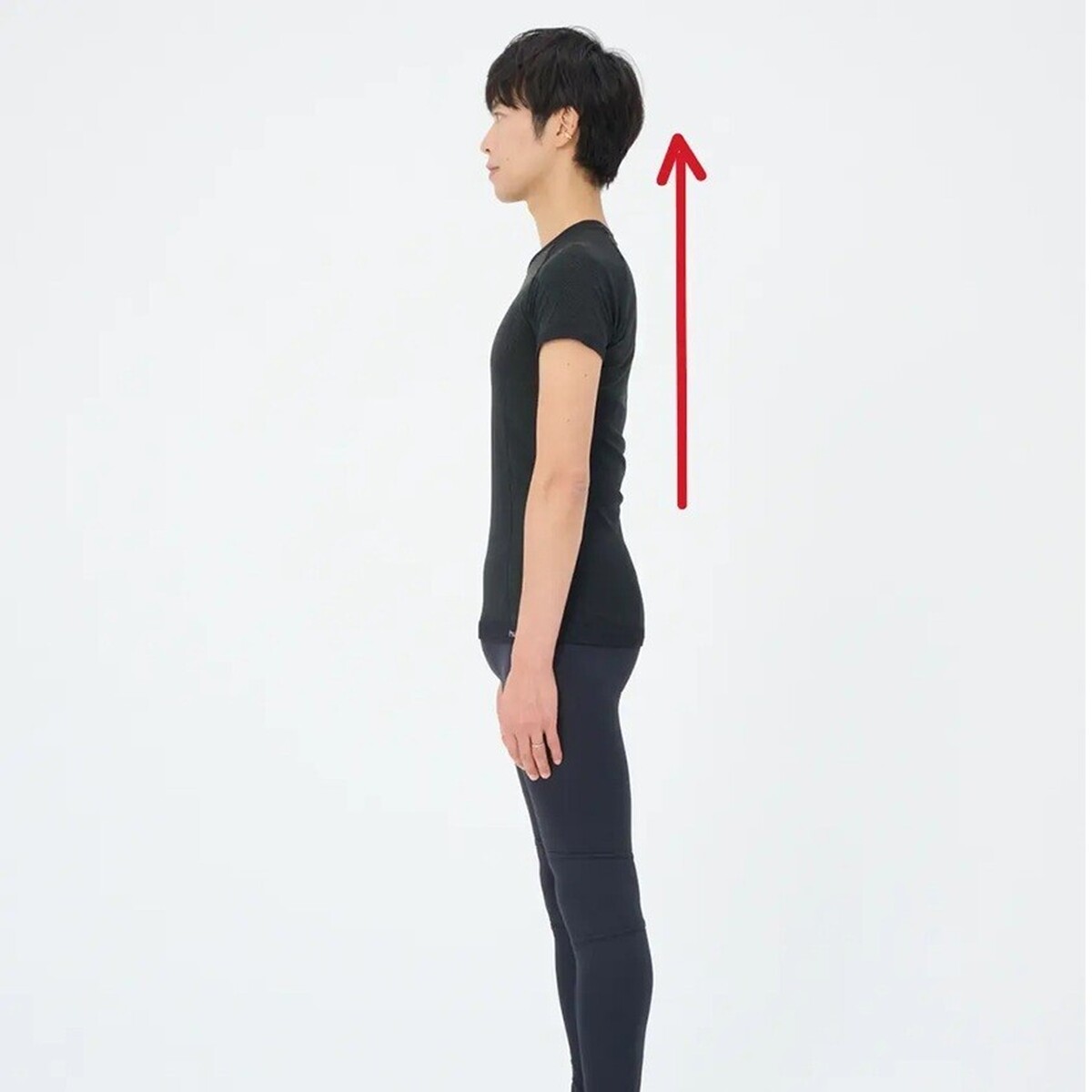 運動が苦手でもできる！簡単ストレッチ＆トレーニング photo gallery