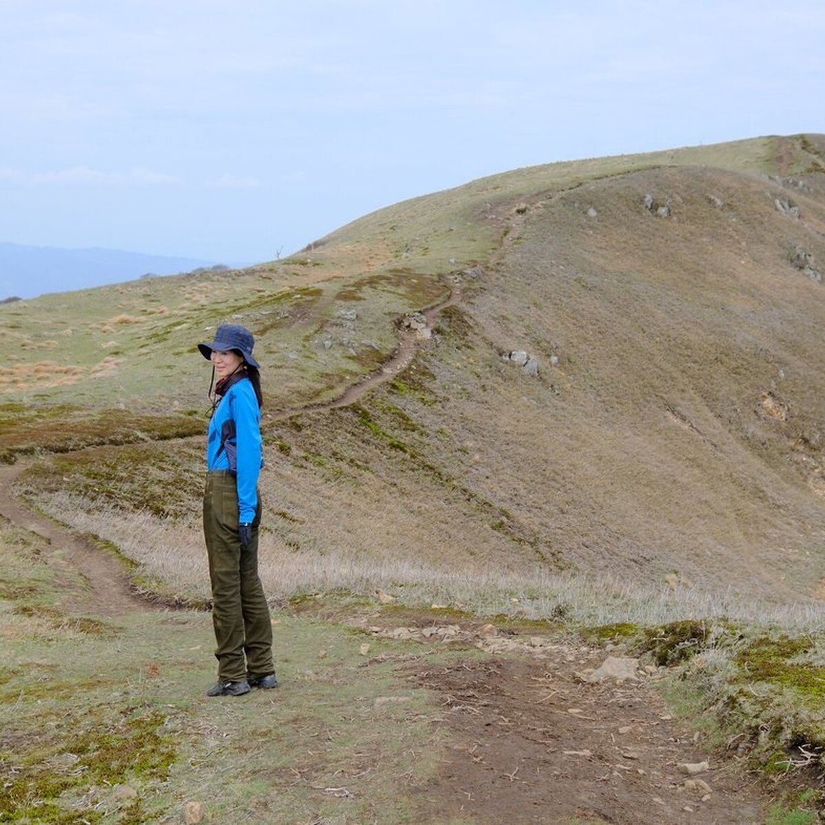 【登山】草原が広がる竜ヶ岳山頂を目指して