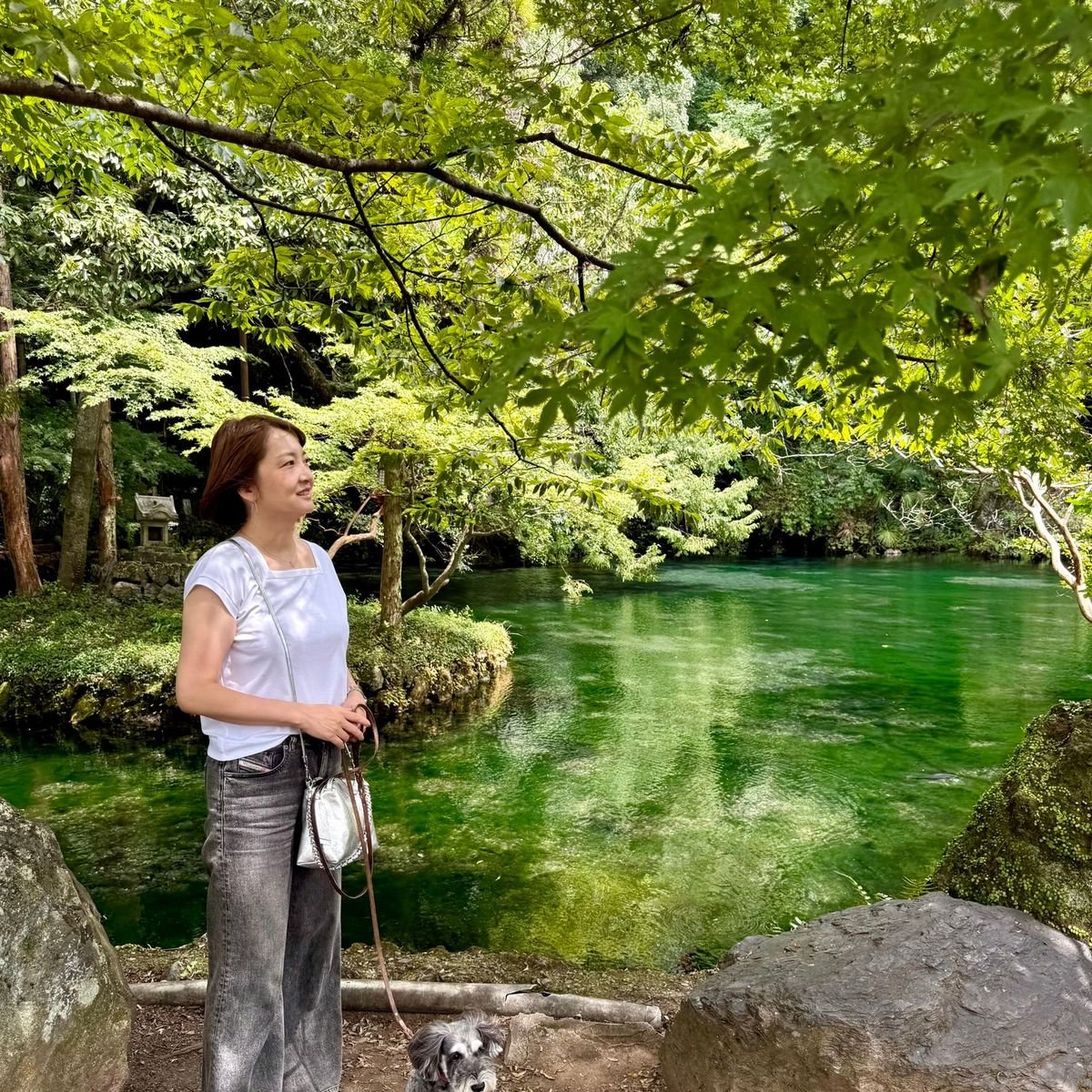 【大人の栃木旅】“神秘の池”と森の隠れ家ランチ
