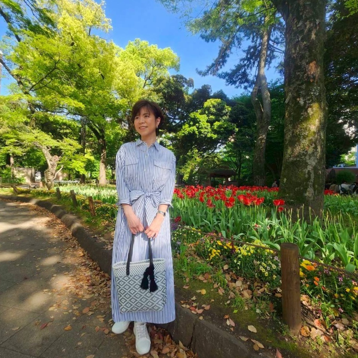 新緑の日本大通りと美味しいフレンチ