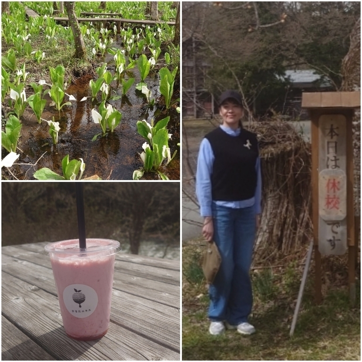 痛恨のミス！！出かけた先は定休日だった……(泣)帰る途中、スムージーと水芭蕉で結果オーライになった日。