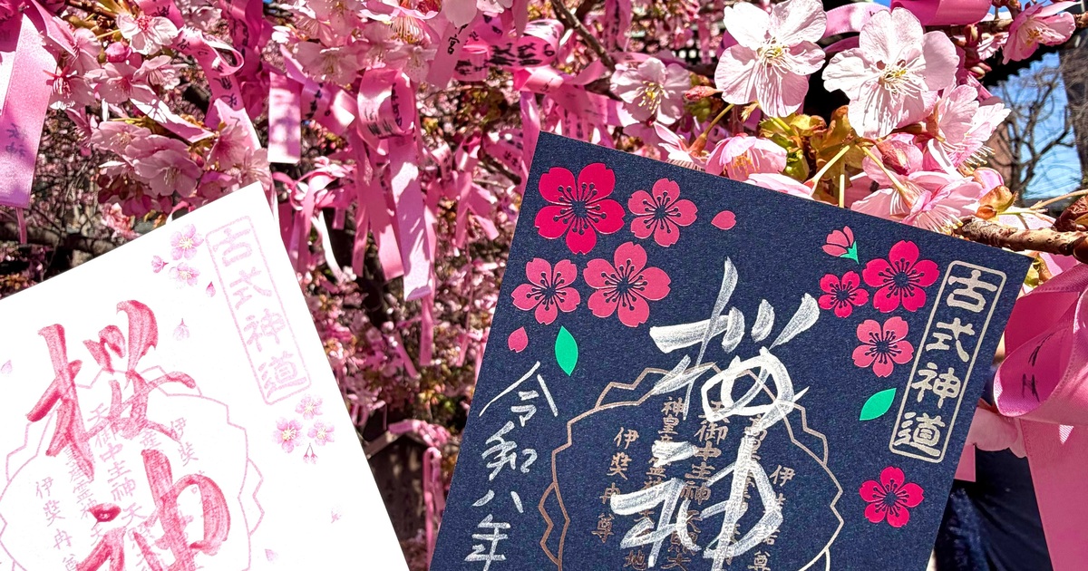 世田谷の河津桜】春がきた♪ピンクがいっぱいの桜神宮とバームクーヘン