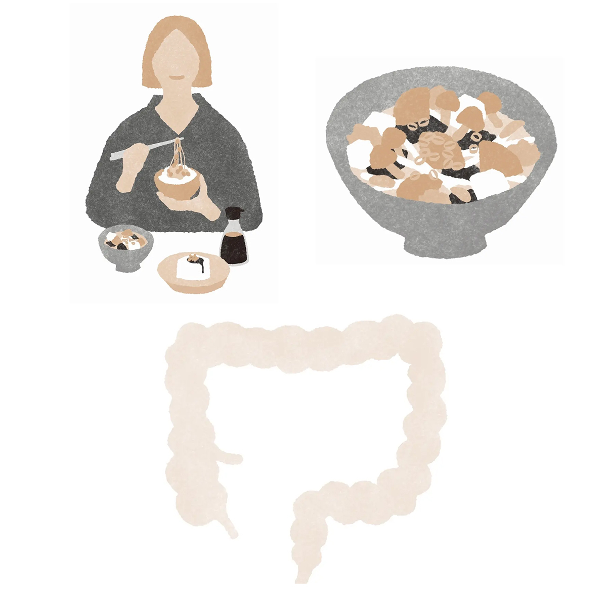 大人の健康のカギは「腸」が握っている！体が生まれ変わる「新・腸活」