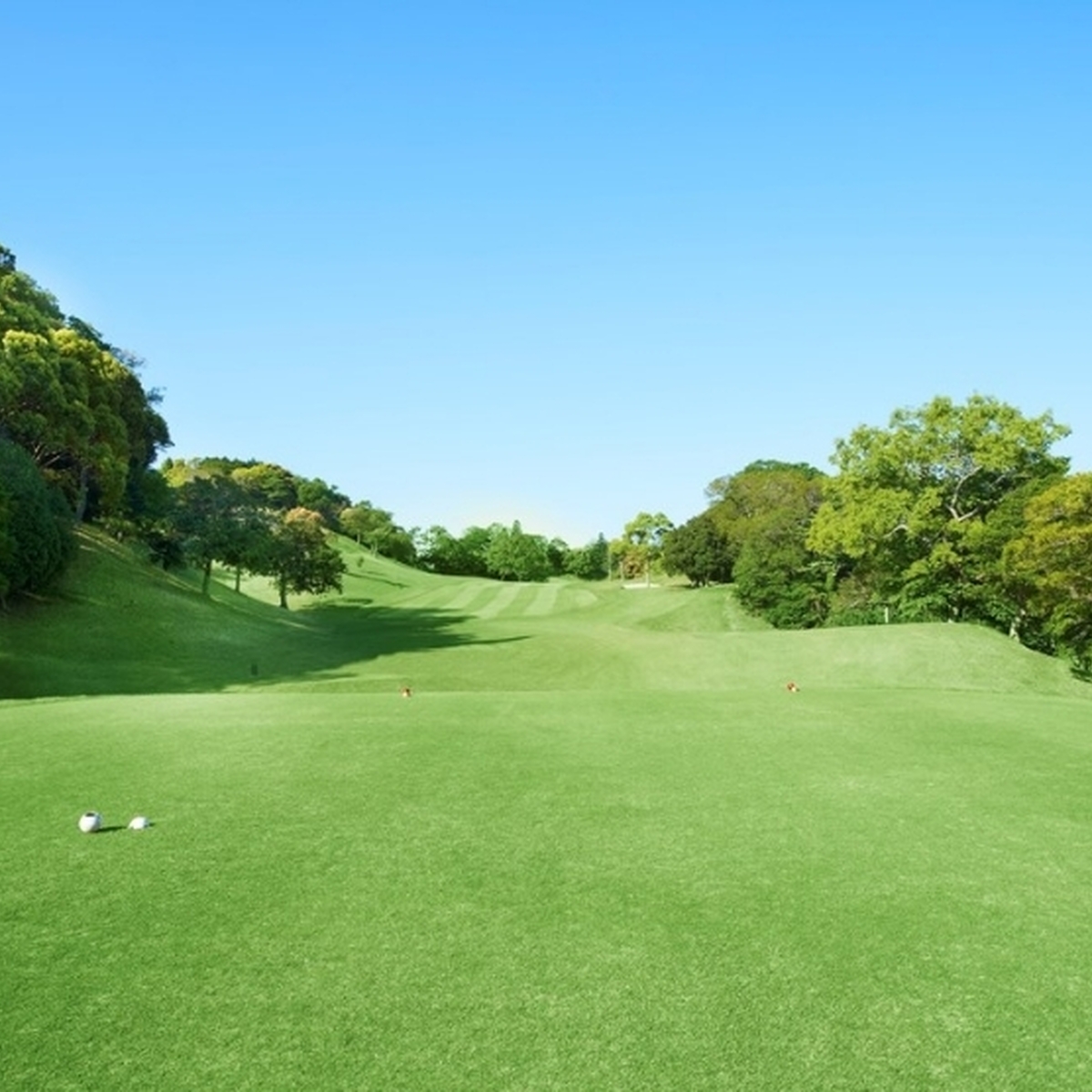 ゴルフ行きましたーー！