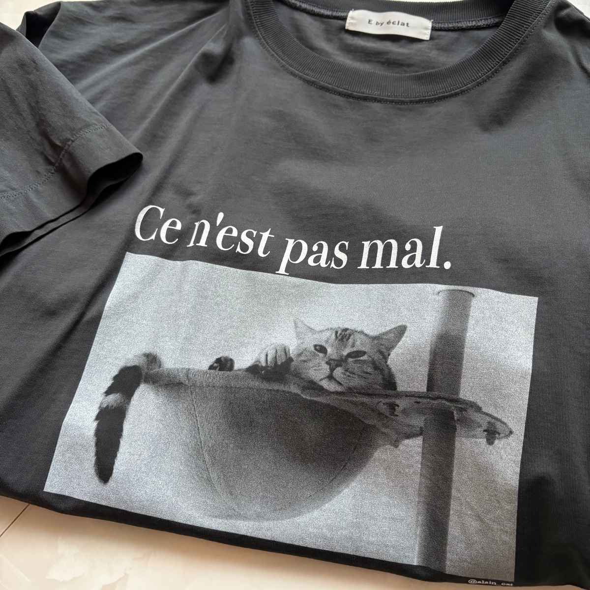 猫の日2.22を巡って…“ひとんちのねこ“愛が止まらない【エクラ編集部員の偏愛名品図鑑 #9】