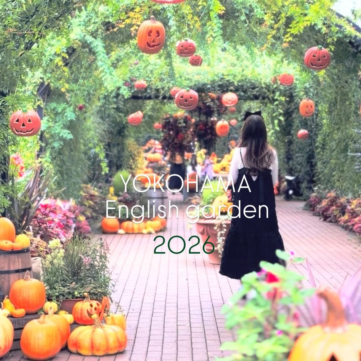 【横浜イングリッシュガーデン2026】ハロウィンコスチューム👻でパンプキン🎃🎃にうもれてみませんか？秋の草木を愛でて、実りの実感もできました🍂