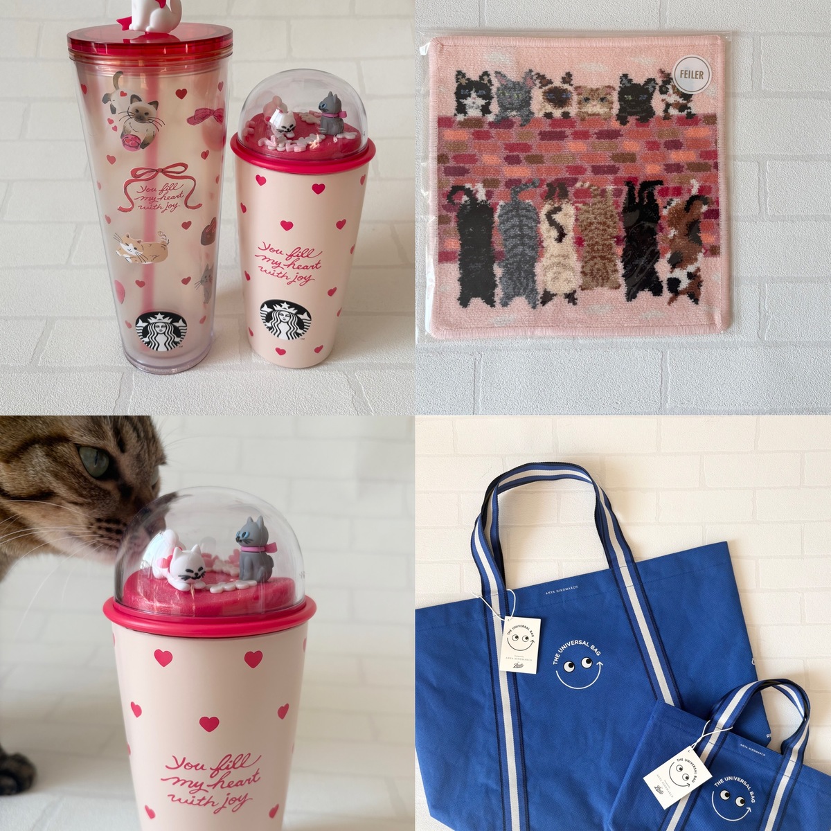 この冬の衝動買い！限定品とねこグッズ