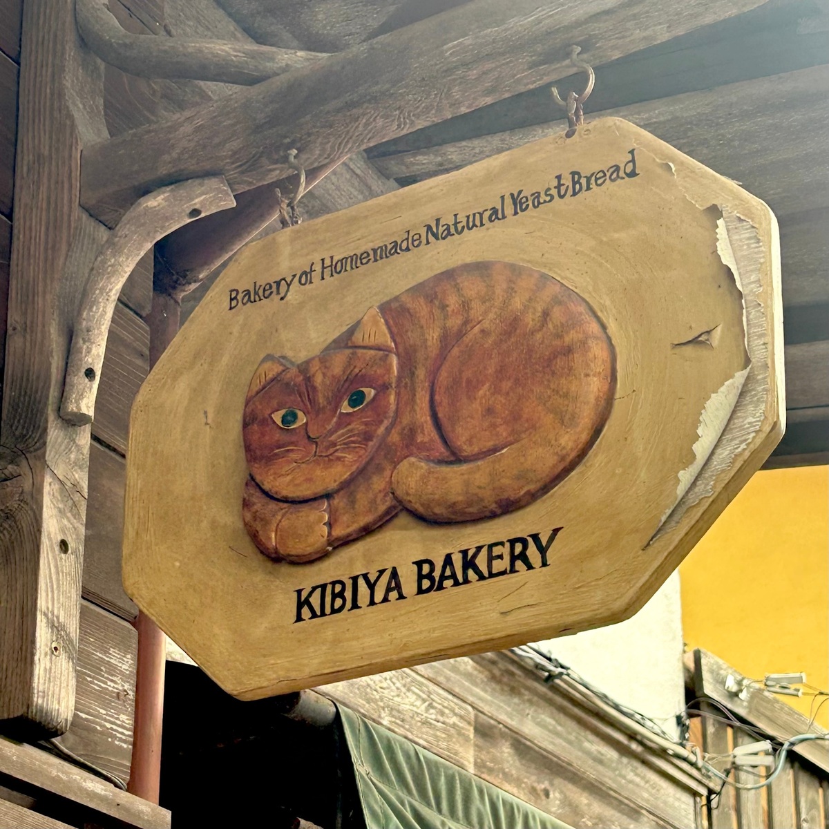 【鎌倉グルメ】RESTAURANT KIBIYAランチ＆キビヤベーカリー徹底レポ｜人気の理由とおすすめメニュー