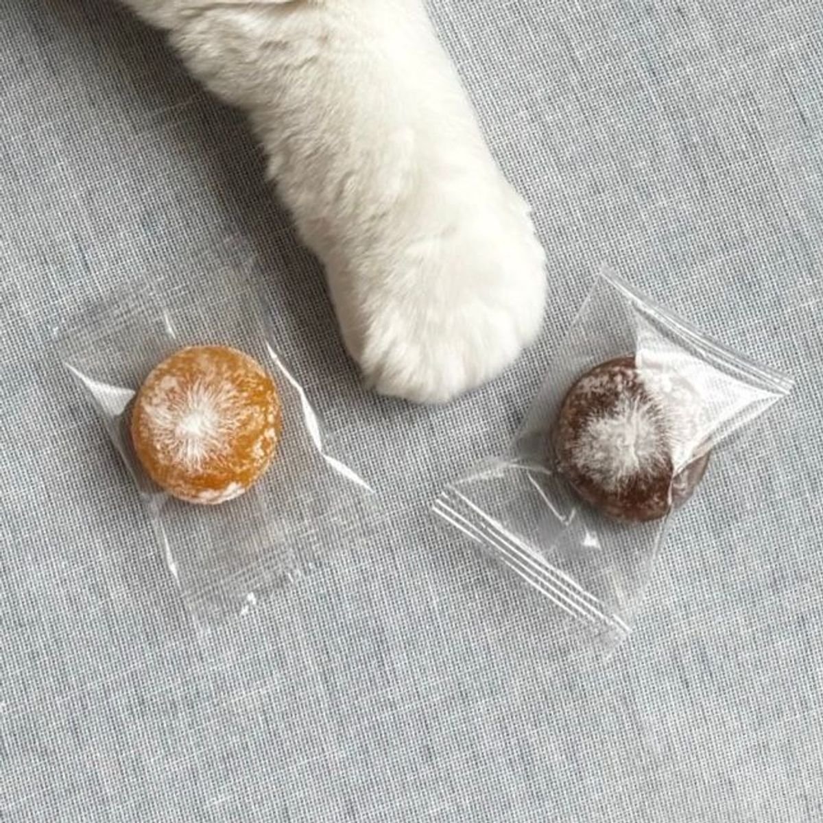 【無印良品】⭐︎ほめられかぼちゃ⭐︎の秋のお菓子　