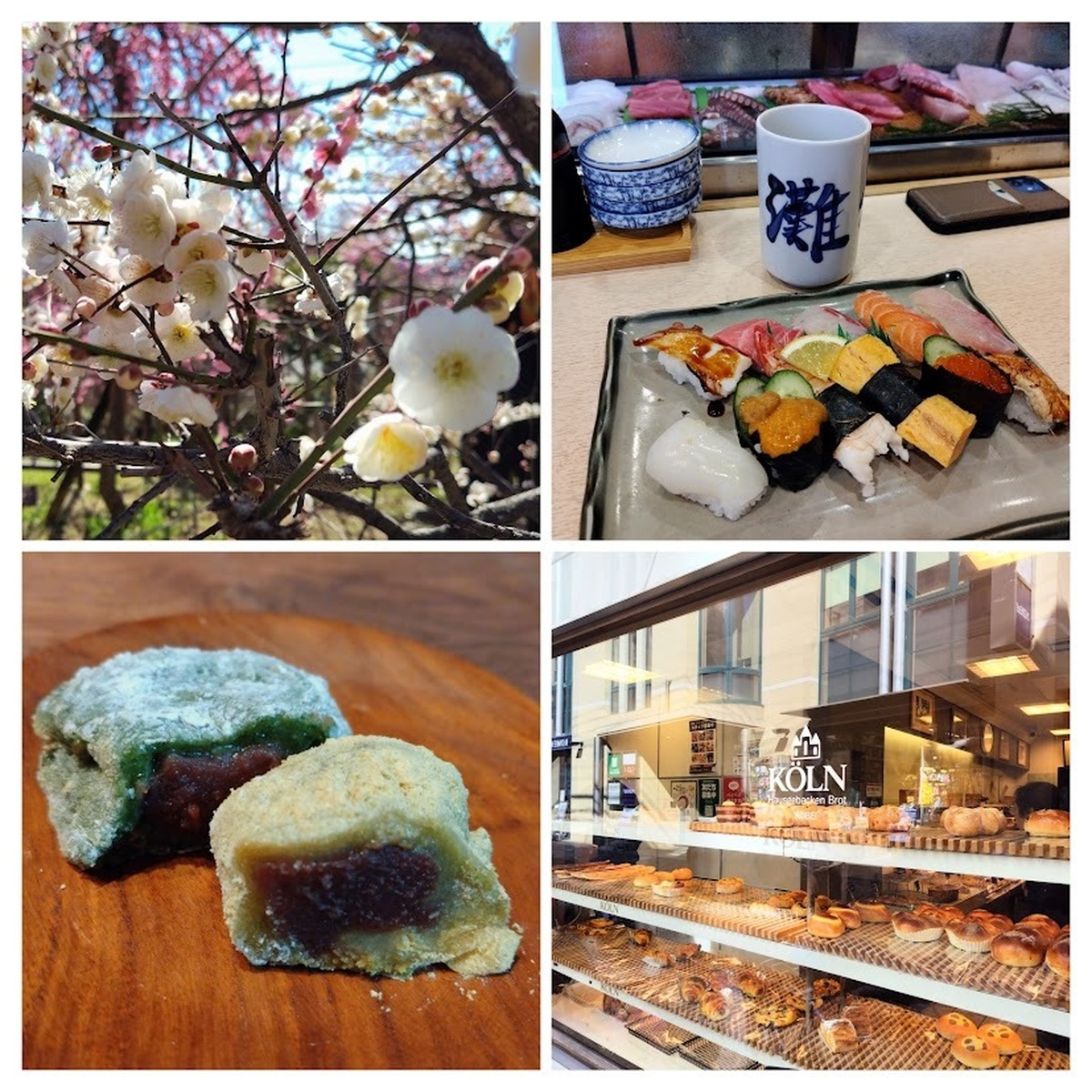 花より団子🍡の梅花見🌸