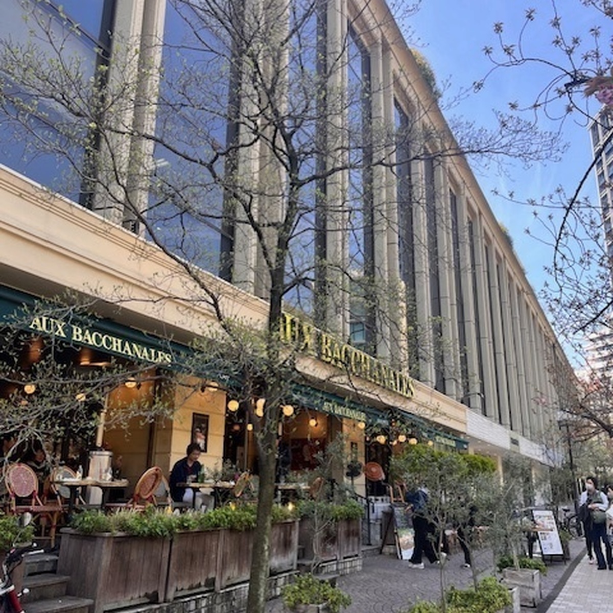 お花見の時期の特等席