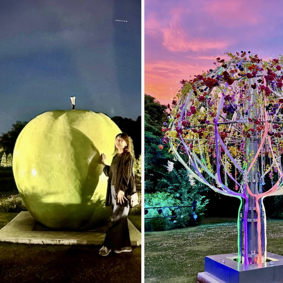 千葉県にあるボタニカルミュージアムでライトアップされた花と植物を眺めながら幻想的な夜のお散歩♡