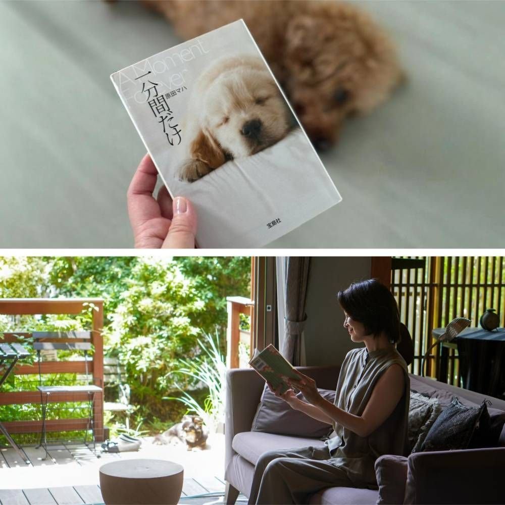 大人女性の人生に寄り添ってくれる、何度も読み返したくなる本18選【エクラ夏の読書部】
