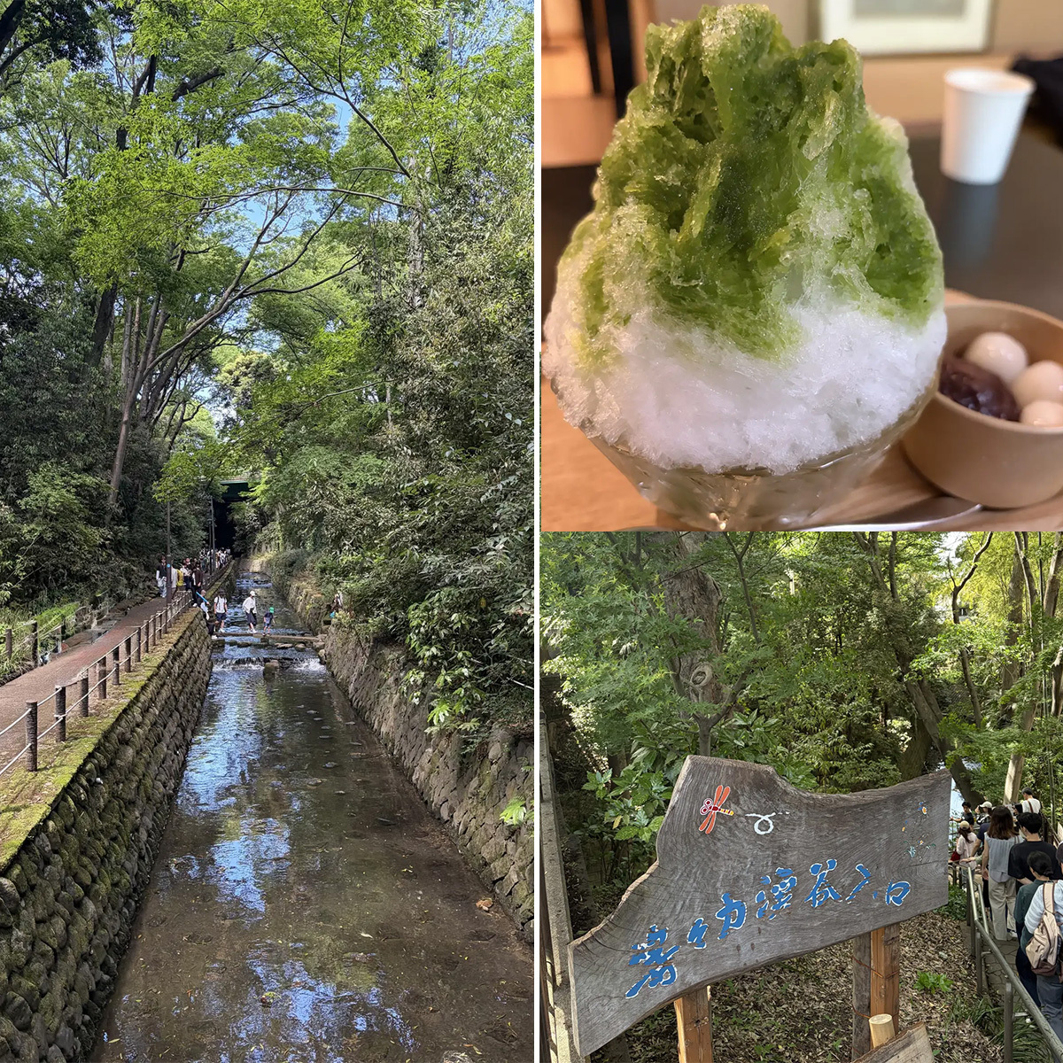 【チームJマダムブログ週間ランキング】都心のど真ん中で森林浴満喫！自然あふれる癒しスポットに注目